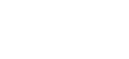 Formula 1